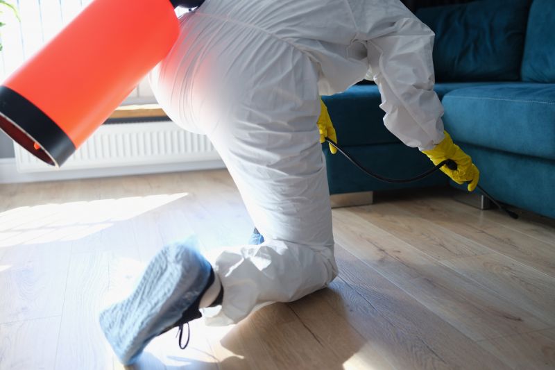 Ant Pest Control Methods That Target Colonies At The Source