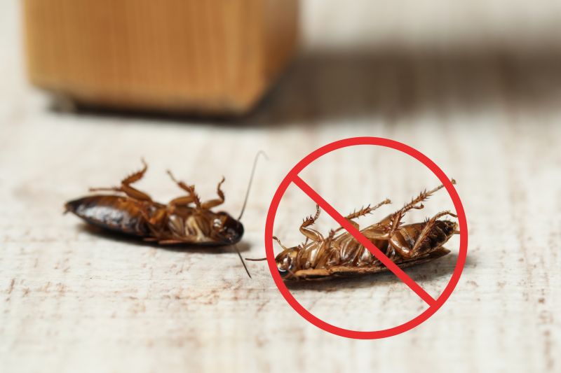 Bug Extermination Service