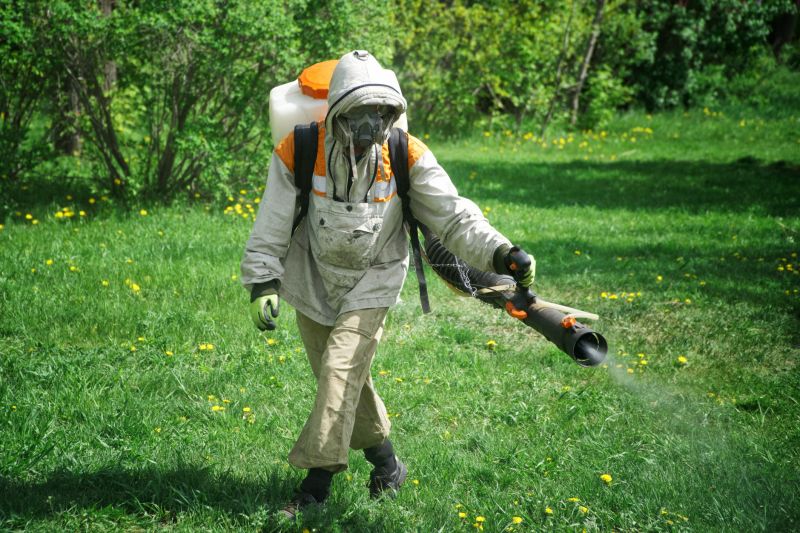 Flea Fumigation