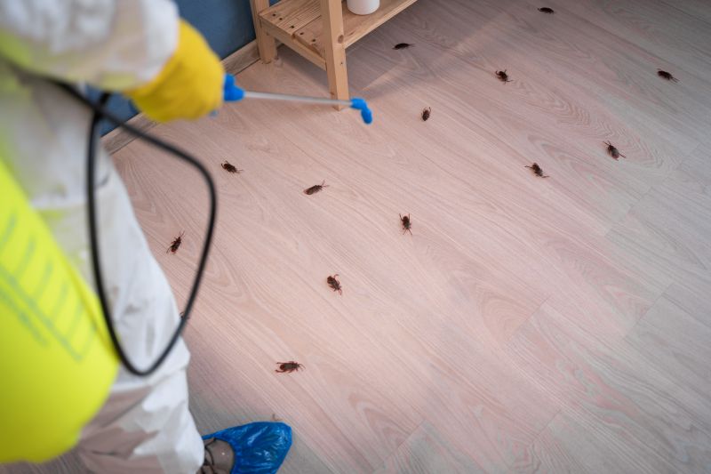 How Routine Pest Control Helps Prevent Major Infestations