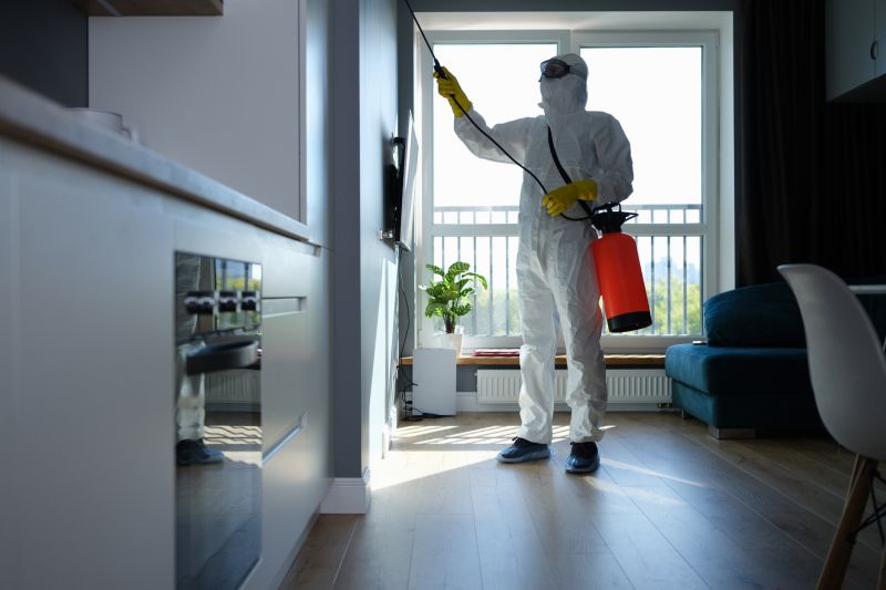 How Routine Pest Control Helps Prevent Major Infestations
