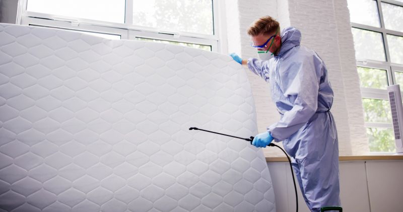 Insect Control Service