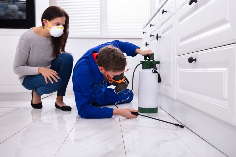 Insect Control Service