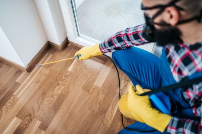 Spider Control Service