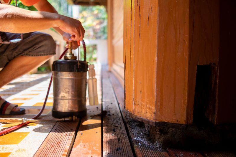 Winged Termite Extermination